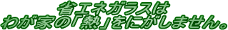 ȃGlKX͂킪Ƃ̢Mɂ܂B