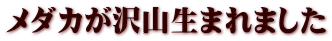 _JR܂܂