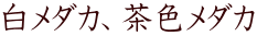 _JAF_J